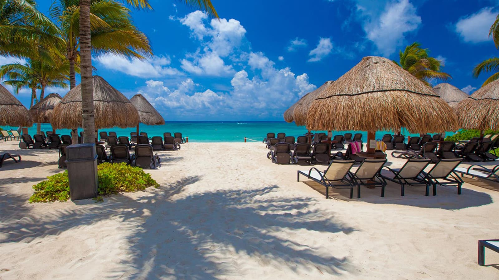 Playa del Carmen - imagen 6