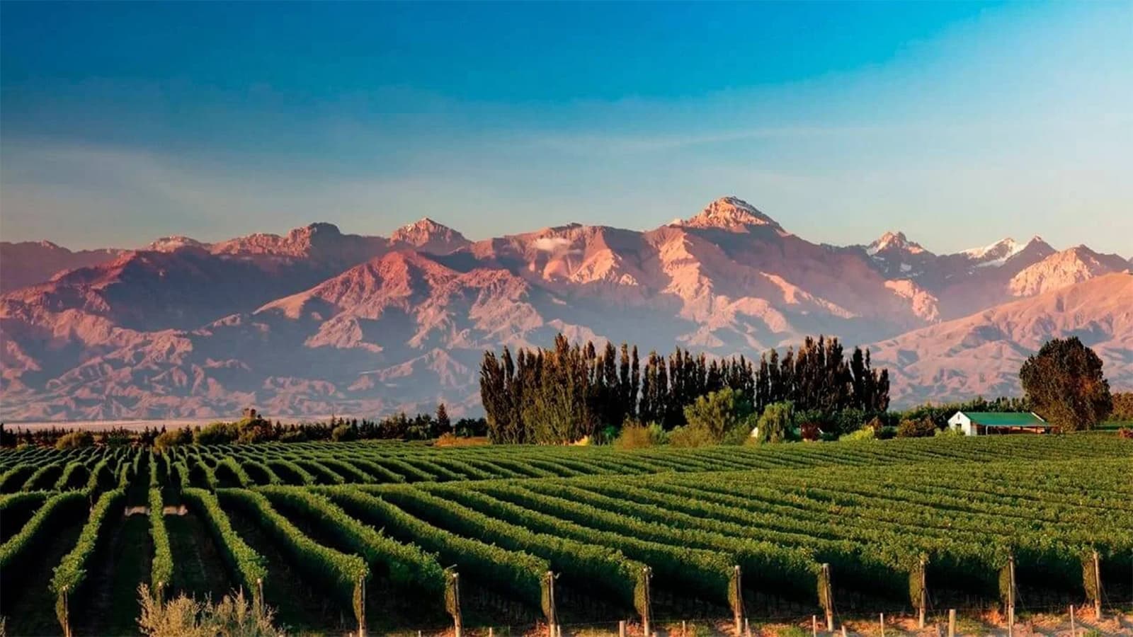 Mendoza Bus - imagen 8